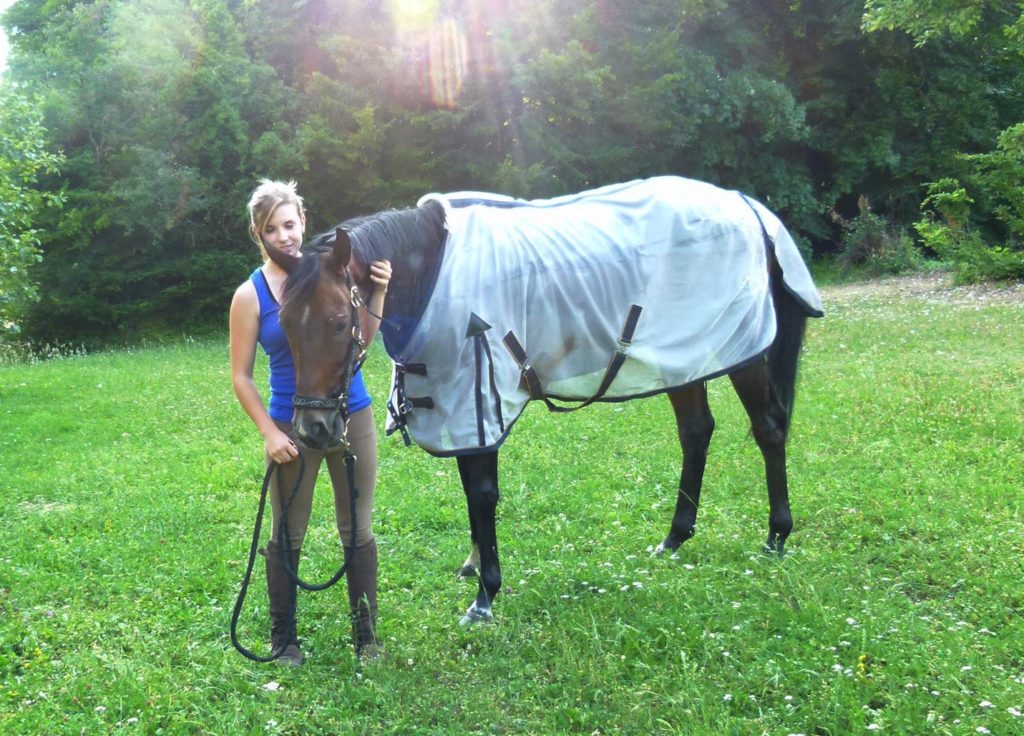 woofing en Australie dans un centre equestre