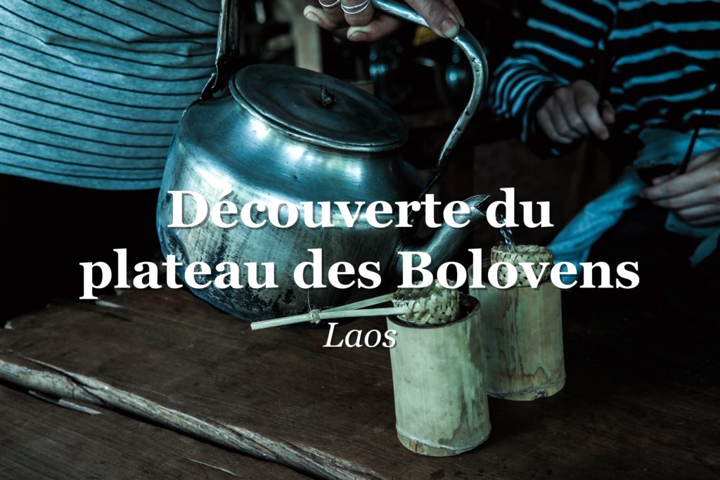 découverte du plateau des bolovens