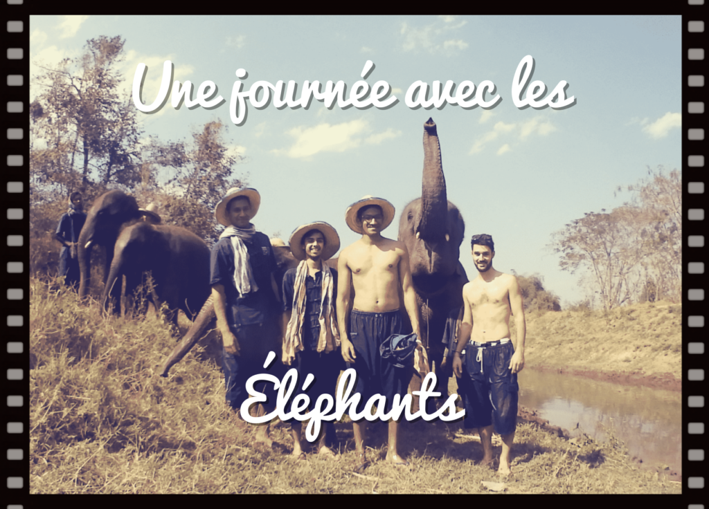 une journée avec les éléphants à Chiang Mai