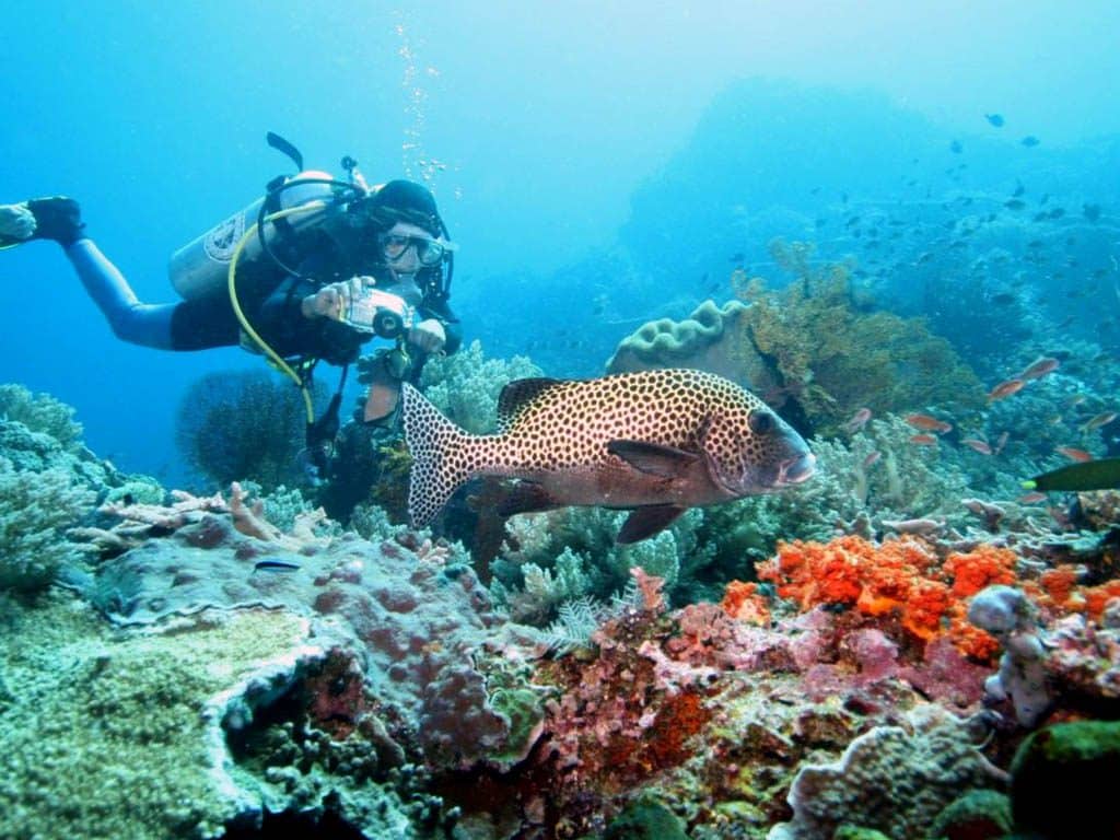 Diving in Lembongan, Bali
