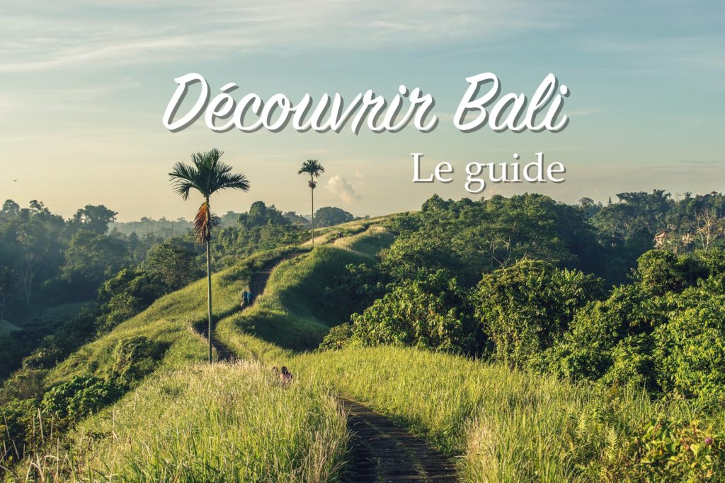 tout savoir pour un voyage à bali pas cher