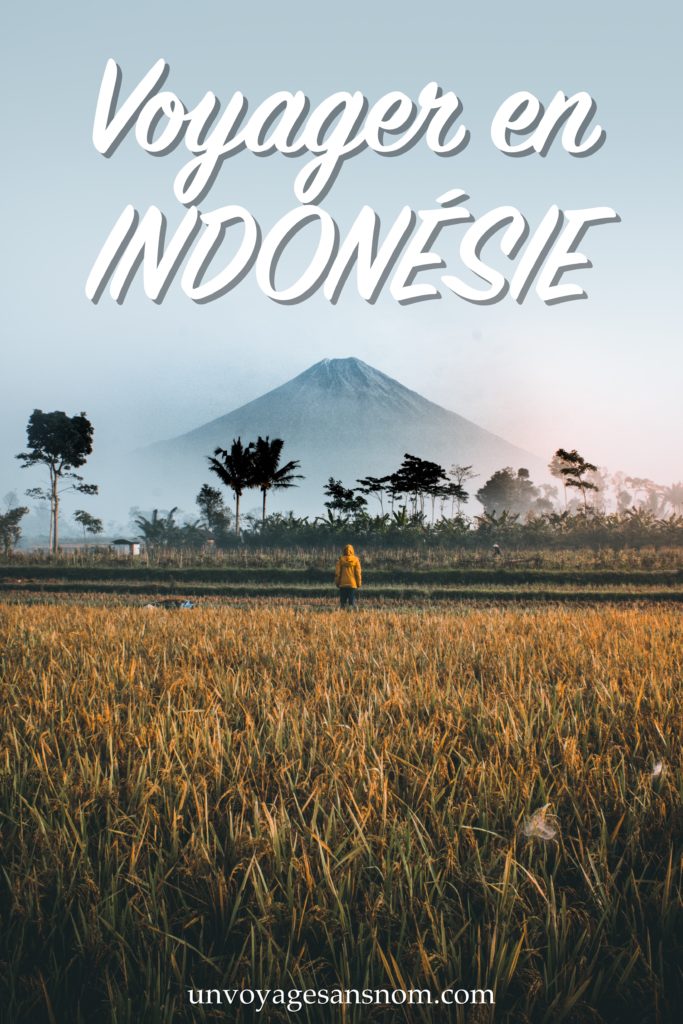 voyager en Indonésie 